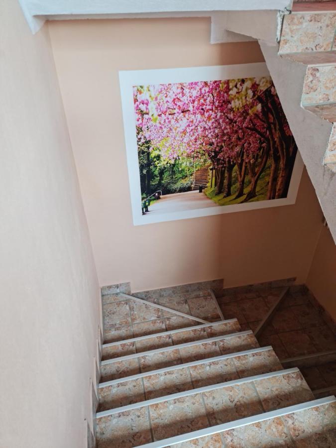 Apartman'S Ana Pale-Oc Jahorina No.2 Dış mekan fotoğraf